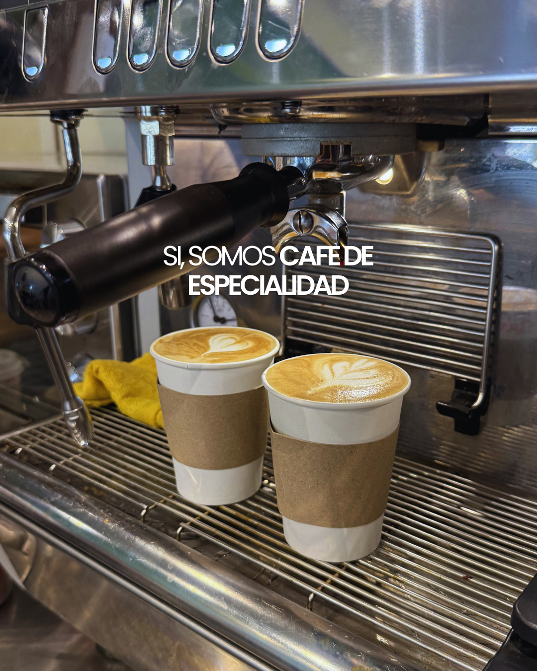 Café de especialidad